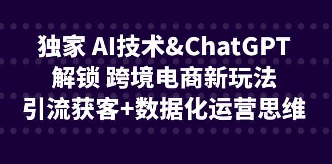 独家 AI技术ChatGPT解锁 跨境电商新玩法，引流获客+数据化运营思维-云创网