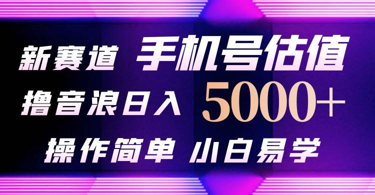 抖音不出境直播【手机号估值】最新撸音浪，日入5000+，简单易学，适合…-云创网