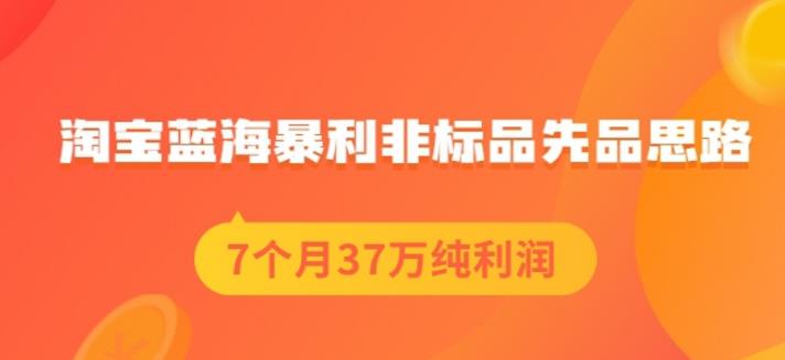 盗坤淘宝蓝海暴利非标品先品思路，7个月37万纯利润，压箱干货分享！【付费文章】-云创网