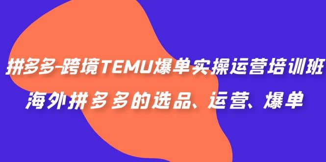 拼多多-跨境TEMU爆单实操运营培训班，海外拼多多的选品、运营、爆单-云创网