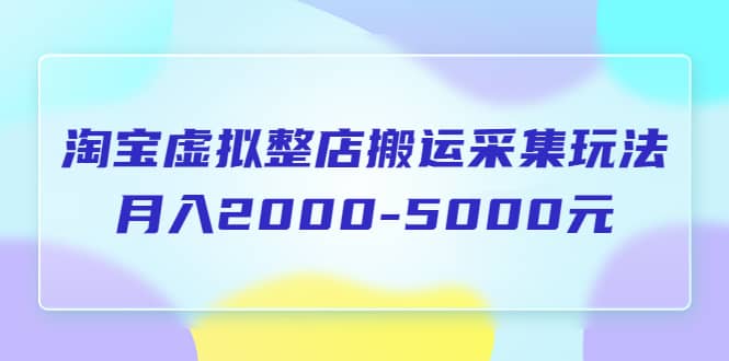 淘宝虚拟整店搬运采集玩法分享课：月入2000-5000元（5节课）-云创网