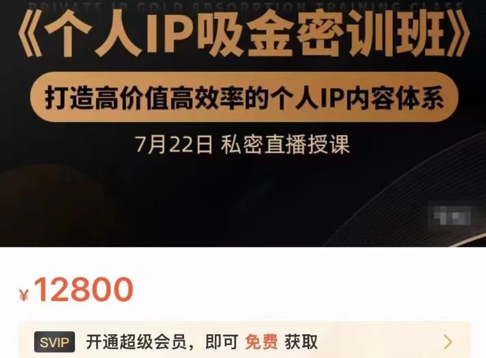 个人IP吸金密训班，打造高价值高效率的个人IP内容体系（价值12800元）-云创网