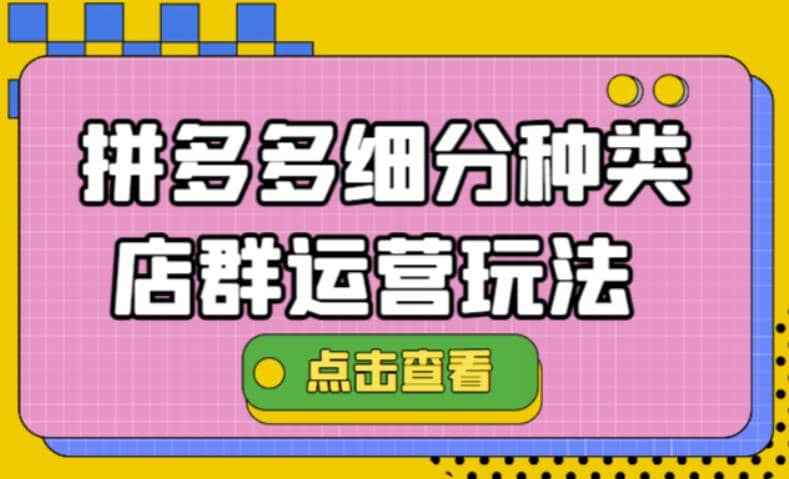 拼多多细分种类店群运营玩法3.0，11月最新玩法，小白也可以操作-云创网