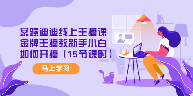 暴躁迪迪线上主播课，金牌主播教新手小白如何开播（15节课时）-云创网