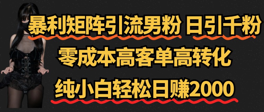 暴利矩阵引流男粉（日引千粉），零成本高客单高转化，纯小白轻松日赚2000+-云创网