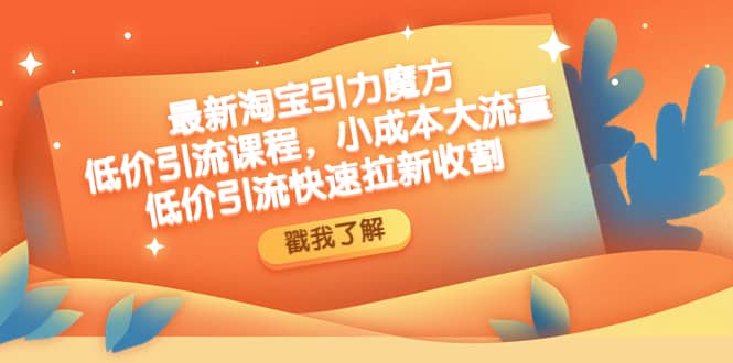 最新淘宝引力魔方低价引流实操：小成本大流量-云创网