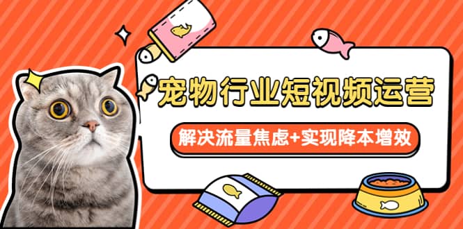 宠物/行业短视频运营 流量增长的一层窗户纸 解决流量焦虑+实现降本增效-云创网