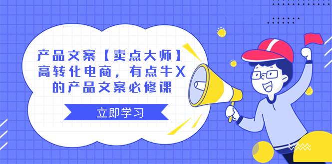 产品文案【卖点大师】高转化电商，有点牛X的 产品文案必修课-云创网