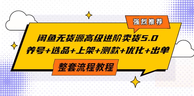 闲鱼无货源高级进阶卖货5.0，养号+选品+上架+测款+优化+出单整套流程教程-云创网
