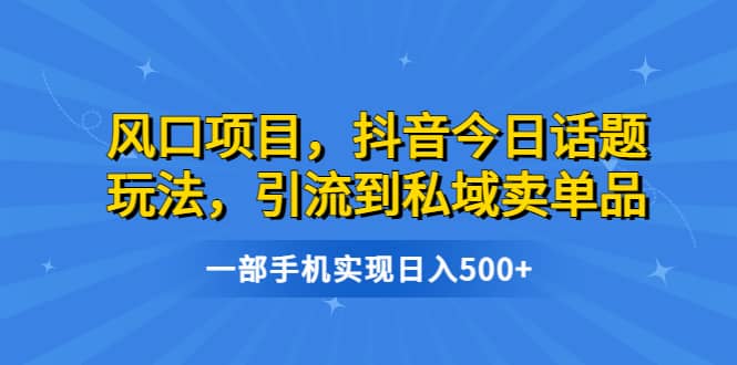 风口项目，抖音今日话题玩法，引流到私域卖单品，一部手机实现日入500+-云创网