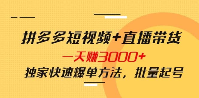 拼多多短视频+直播带货，一天赚3000+独家快速爆单方法，批量起号-云创网