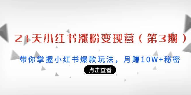 21天小红书涨粉变现营（第3期）：带你掌握小红书爆款玩法，月赚10W+秘密-云创网