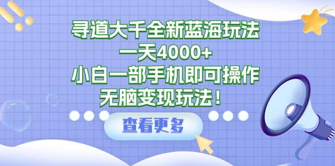 寻道大千全新蓝海玩法，一天4000+，小白一部手机即可操作，无脑变现玩法！-云创网
