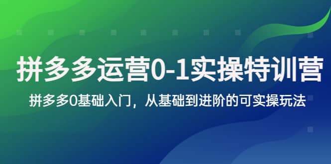 拼多多-运营0-1实操训练营，拼多多0基础入门，从基础到进阶的可实操玩法-云创网