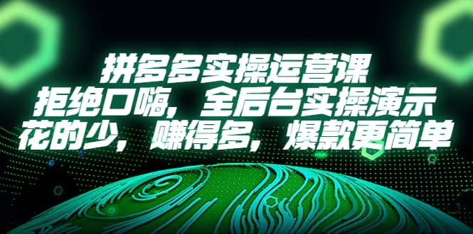 拼多多实操运营课：拒绝口嗨，全后台实操演示，花的少，赚得多，爆款更简单-云创网
