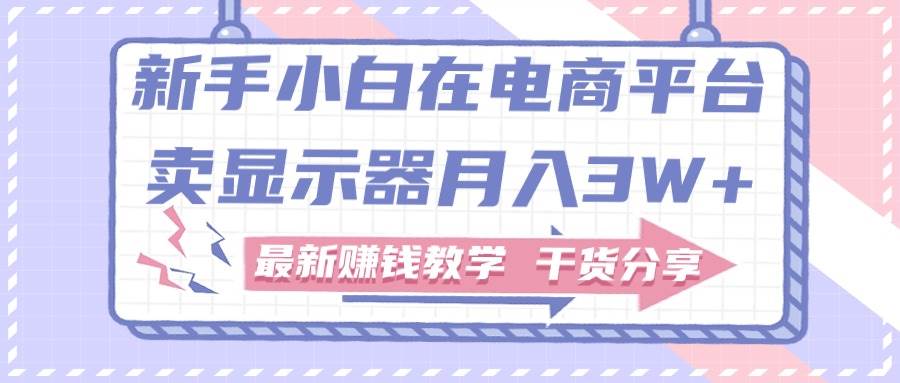 新手小白如何做到在电商平台卖显示器月入3W+，最新赚钱教学干货分享-云创网