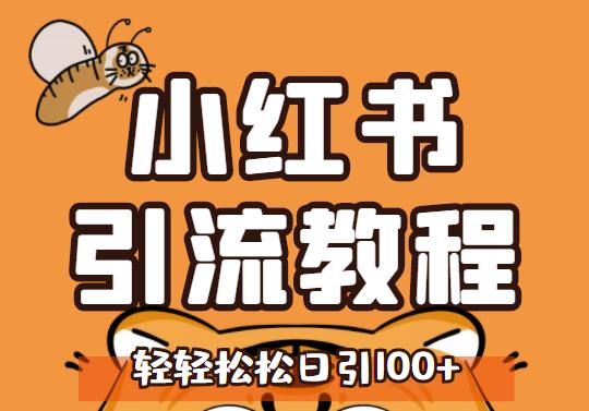 小红书运营引流全系列课程，每天引流100精准粉-云创网