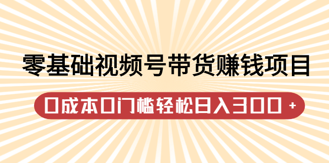 零基础视频号带货赚钱项目，0成本0门槛轻松日入300+【视频教程】-云创网