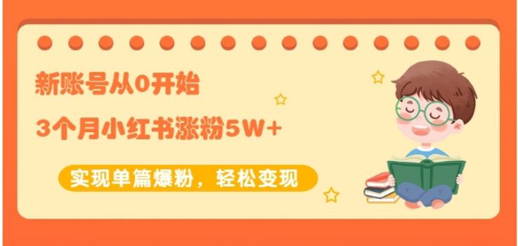新账号从0开始3个月小红书涨粉5W+实现单篇爆粉，轻松变现（干货）-云创网