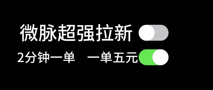 微脉超强拉新， 两分钟1单， 一单利润5块，适合小白-云创网