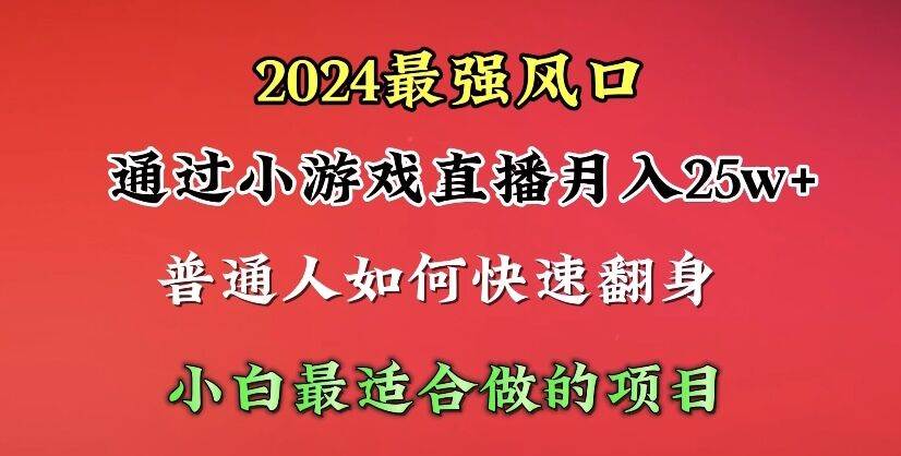 2024年最强风口，通过小游戏直播月入25w+单日收益5000+小白最适合做的项目-云创网