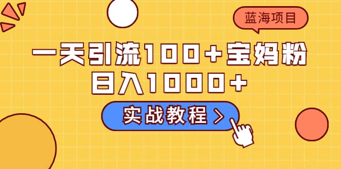 一天引流100+宝妈粉，日入1000+的蓝海项目（实战教程）-云创网