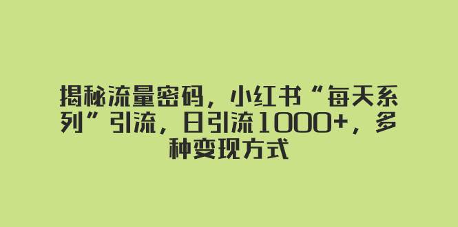 揭秘流量密码，小红书“每天系列”引流，日引流1000+，多种变现方式-云创网