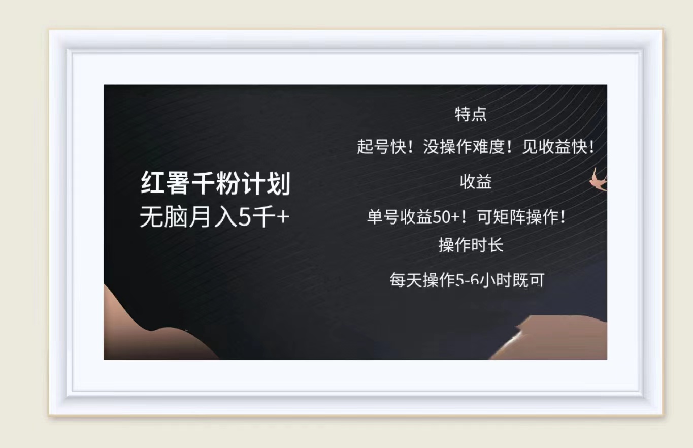 红薯千粉计划无脑月入5千➕！既做既赚！-云创网