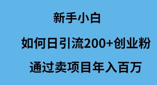 新手小白如何日引流200+创业粉通过卖项目年入百万-云创网