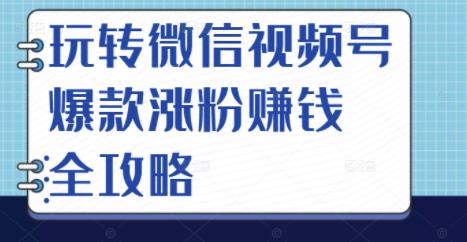 玩转微信视频号爆款涨粉赚钱全攻略，让你快速抓住流量风口，收获红利财富-云创网