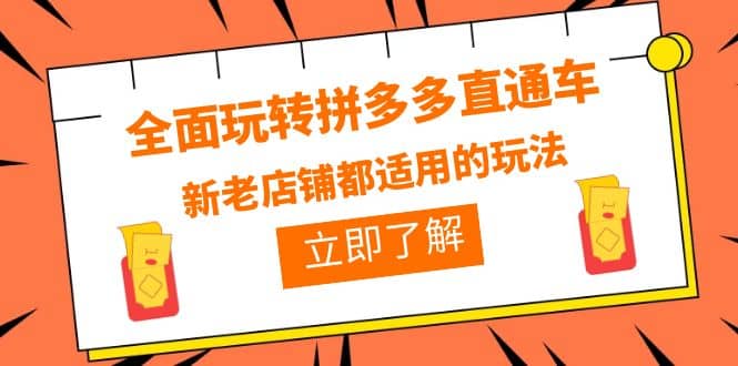 全面玩转拼多多直通车，新老店铺都适用的玩法（12节精华课）-云创网