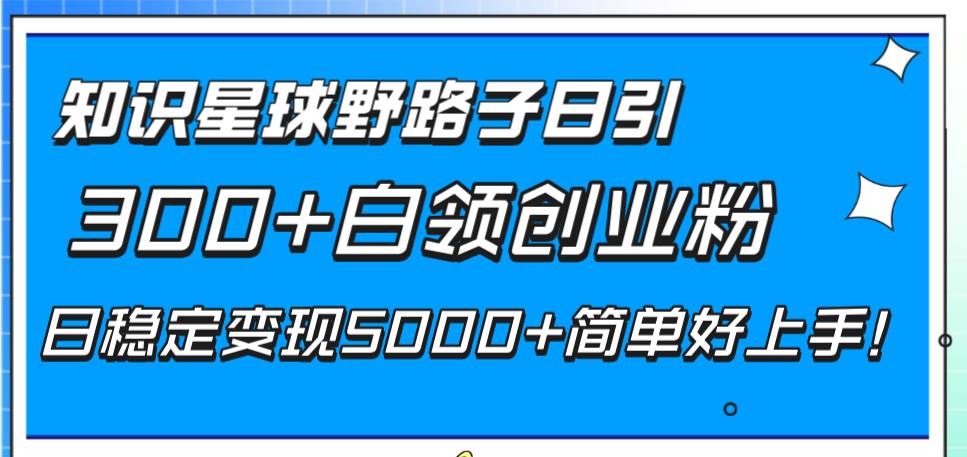 知识星球野路子日引300+白领创业粉，日稳定变现5000+简单好上手！-云创网