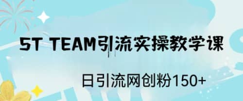 ST TEAM引流实操课，日引流网创粉100+-云创网