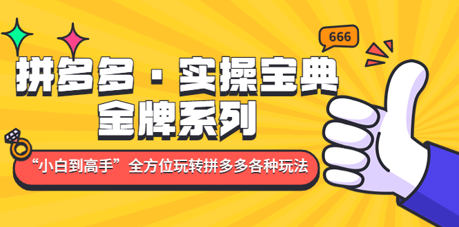 拼多多·实操宝典：金牌系列“小白到高手”带你全方位玩转拼多多各种玩法-云创网