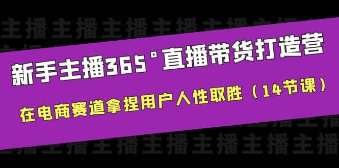 新手主播365°直播带货·打造营，在电商赛道拿捏用户人性取胜（14节课）-云创网