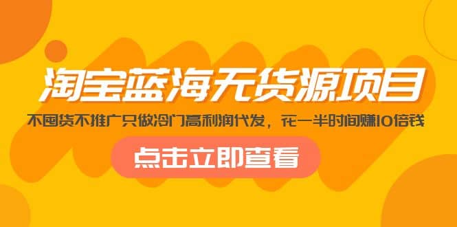淘宝蓝海无货源项目，不囤货不推广只做冷门高利润代发-云创网