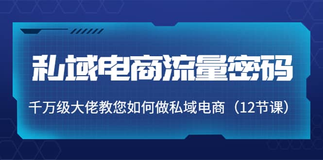 私域电商流量密码：千万级大佬教您如何做私域电商（12节课）-云创网