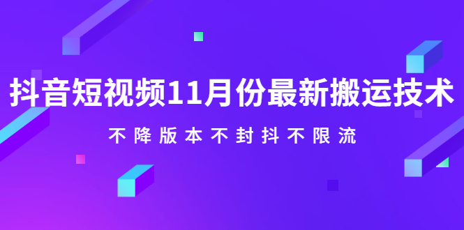 抖音短视频11月份最新搬运技术，不降版本不封抖不限流！【视频课程】-云创网
