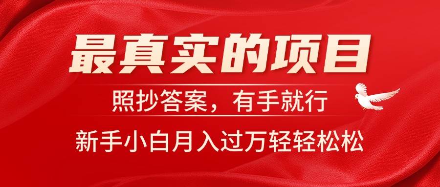 最真实的项目，照抄答案，有手就行，新手小白月入过万轻轻松松-云创网