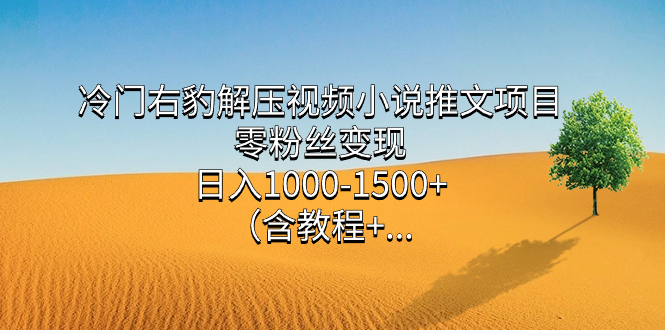 冷门右豹解压视频小说推文项目，零粉丝变现，日入1000-1500+（含教程）-云创网