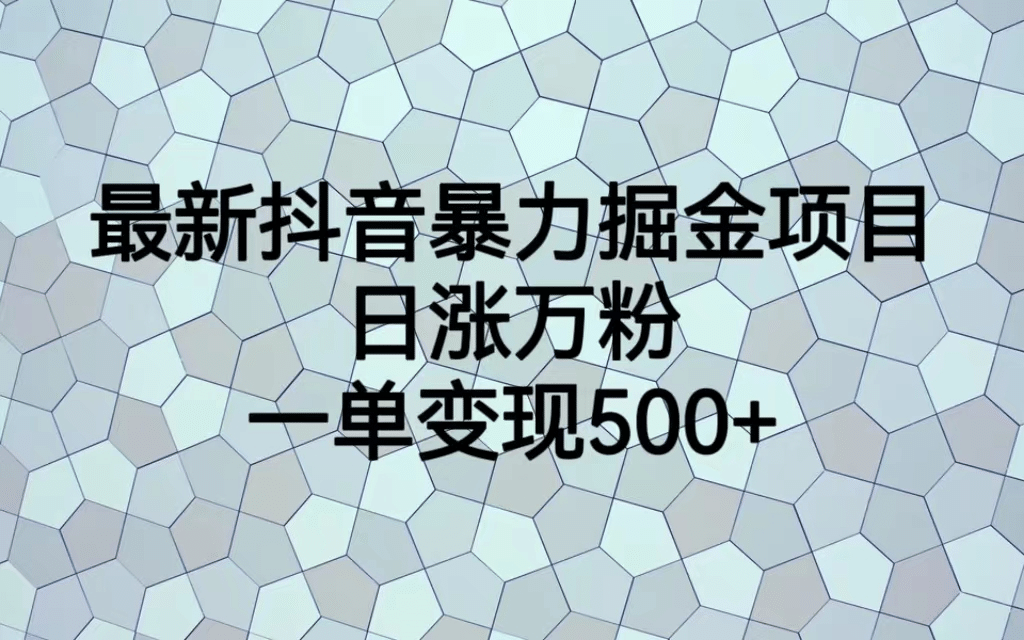最火热的抖音暴力掘金项目，日涨万粉，多种变现方式，一单变现可达500+-云创网