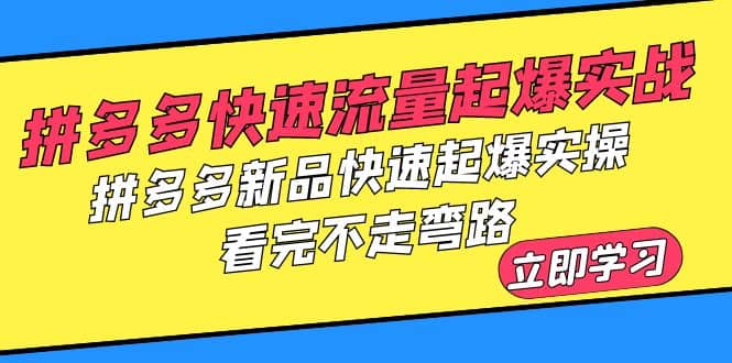 拼多多-快速流量起爆实战，拼多多新品快速起爆实操，看完不走弯路-云创网