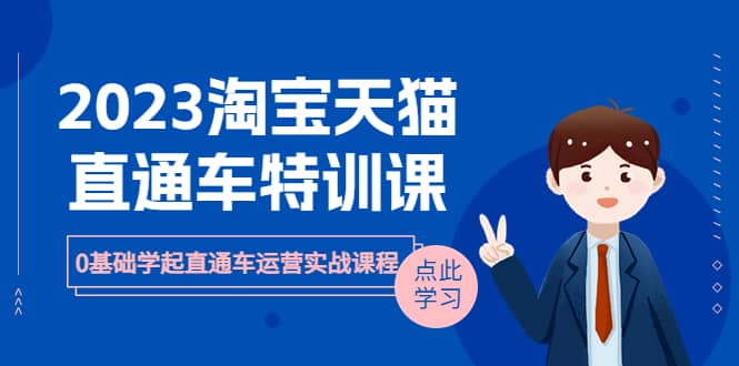 2023淘宝·天猫直通车评特训课，0基础学起直通车运营实战课程（8节课时）-云创网