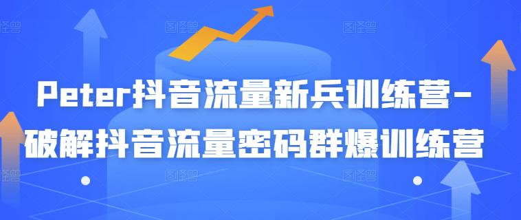 Peter抖音流量新兵训练营-破解抖音流量密码群爆训练营（新兵）-云创网