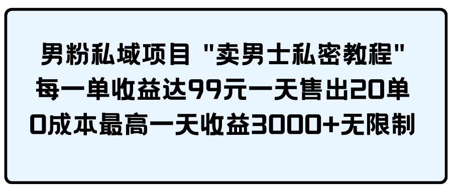 男粉私域项目 卖男士私密教程 每一单收益达99元一天售出20单-云创网