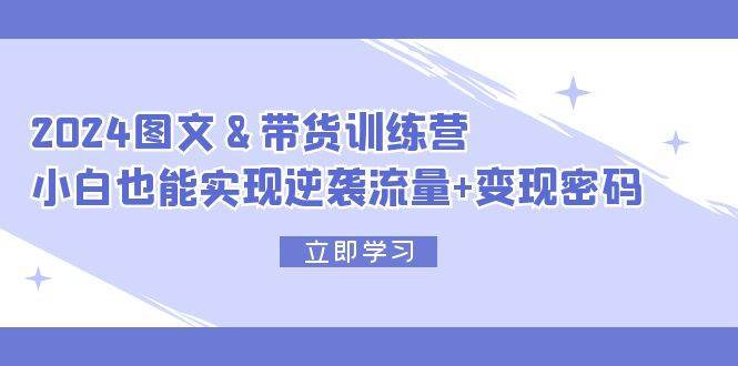 2024 图文+带货训练营，小白也能实现逆袭流量+变现密码-云创网