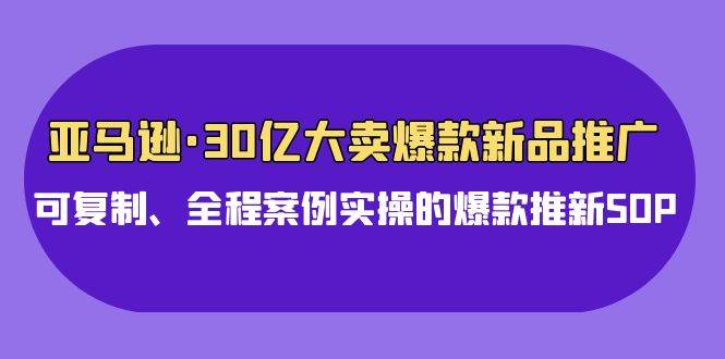 亚马逊30亿·大卖爆款新品推广，可复制、全程案例实操的爆款推新SOP-云创网