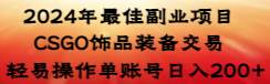 2024年最佳副业项目 CSGO饰品装备交易 轻易操作单账号日入200+-云创网