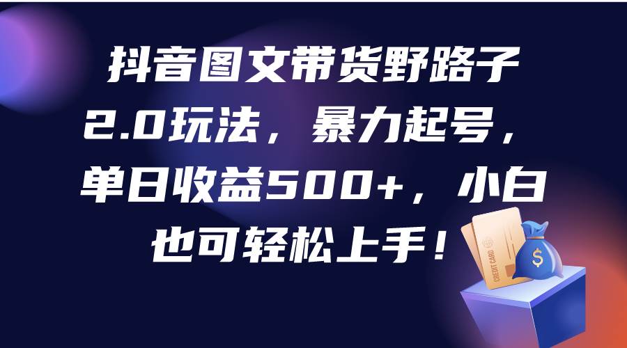 抖音图文带货野路子2.0玩法，暴力起号，单日收益500+，小白也可轻松上手！-云创网