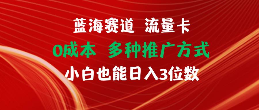 蓝海赛道 流量卡 0成本 小白也能日入三位数-云创网